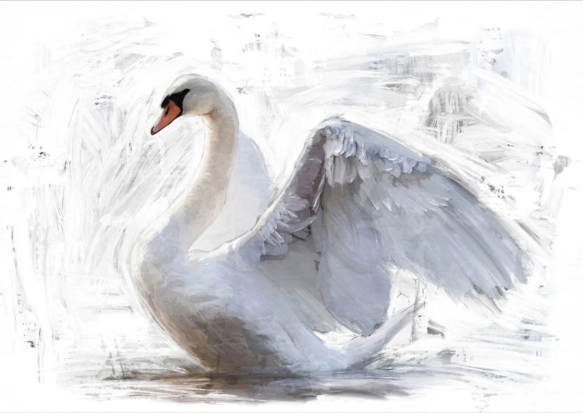 MINT dekupaaźipaber White Swan, suurus A3, vasakule vaatega